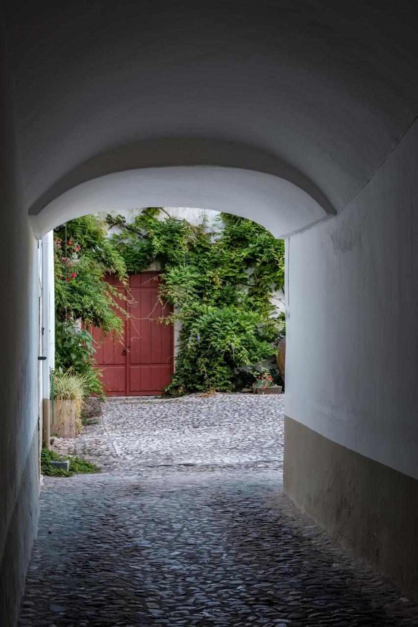 Casa De Borba Βίλα Εξωτερικό φωτογραφία